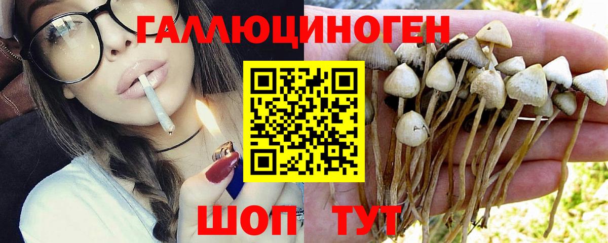 Галлюциногенные грибы GOLDEN TEACHER  Вход с VPN  Муром  Галлюциногенные грибы ЛСД 