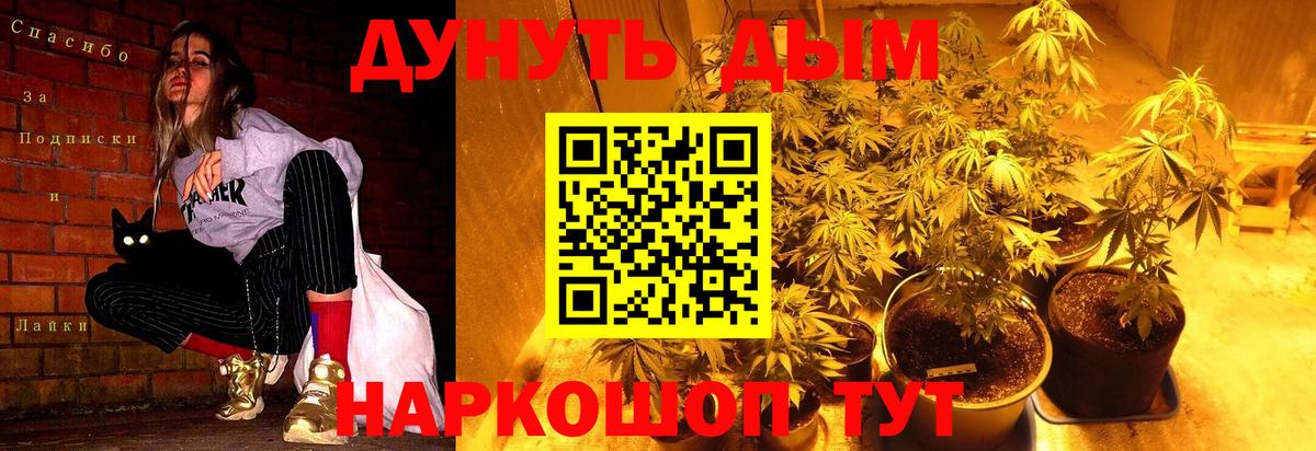 Бошки Шишки марихуана  Вход с VPN  Бошки Шишки семена  Канабис AK-47  Муром  Бошки марихуана индика 