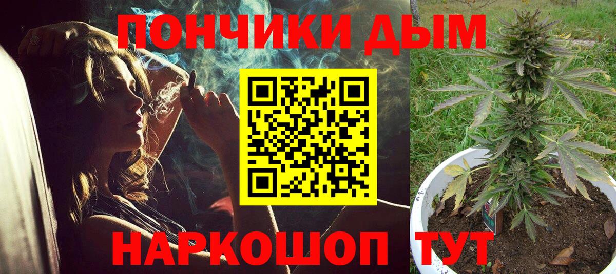 Бошки Шишки индика Муром